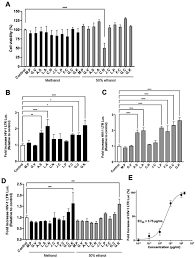 Image result for Gnidia sericocephala