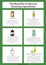Clean Pet Urine From Carpet Naturally Gerrard Larriett