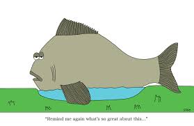 Is It Better To Be Big Fish In A Small Pond Or Small Fish In A Big Pond Playitloudmusic S Blog Choose from 385450+ cartoon pond graphic resources and download in the form of png, eps, ai or psd.