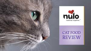 If your cat is diagnosed with diabetes it is usually a frightening time for an owner. Nulo Cat Food Review Cat Reviews