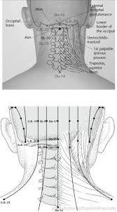 Pin On Acupuncture For Pain Relief