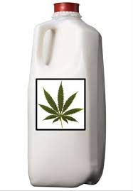 How To Make Cannamilk - Weedist