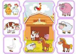 أنشطة تركيز وانتباه ابحث داخل الصورة عن الطيور والحيوانات الموجودة على جانبي الصورة Teacch Activities Preschool Activities Preschool Themes