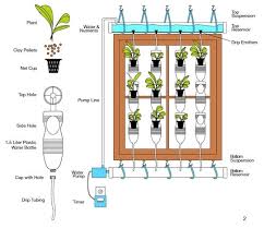 An organic kitchen garden in healdsburg, california, nourishes body, soul and the local community. 13 Plastic Bottle Vertical Garden Ideas Soda Bottle Garden Balcony Garden Web