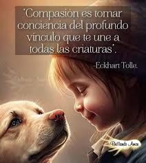 Marcel H. O. (@Marce_HOl)