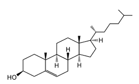 Cholesterin Oder Cholesterol Ist Ein Fett Das Der Korper Selbst Herstellt Und Uber Nahrung Aufgenommen Wird Ein Erhohter Cholesterinwert Kann Zu Gefassschaden Fuhren