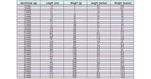 Check spelling or type a new query. Fetal Growth Chart The Children S Happiness Guide