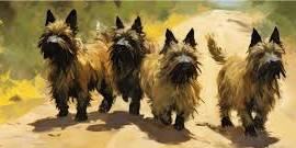 Toto Trot