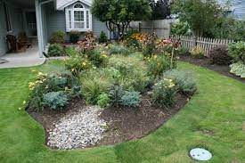 Almost any typical garden plant will work in this zone. Rain Garden With Purple Coneflower A Small Rain Garden Overflows With