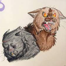 Published by harpercollins, the series is written by authors kate cary, cherith baldry, and tui t. Warrior Cats Fan Art Warriorsfanart Twitter