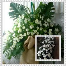 Please leave a like and share if. Hfd Sympathy Flowers Home Facebook