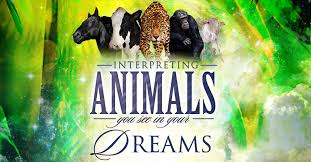 And the united states experimented with the idea of a. Dream Symbols Dictionary Interpreting Animals You See In Your Dreams Apostle David E Taylor Official Site