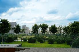 Image result for arte commerciale