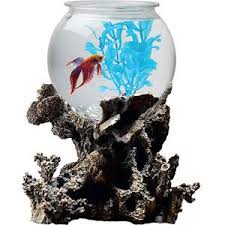 Walmart Betta Treasures 1 Gallon Bowl With Stand Coral Aquarium Betta Fish Tank Aquarium Kit