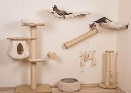 Durch catwalks an den wänden, und den erlaubten zugang auf sideboards und schränken, kann eine kleine wohnung auch für katzen. Ein Katzchen Kommt Ins Haus Tipps Fur Artgerechte Wohnung