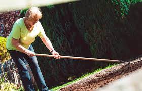 Check spelling or type a new query. Easiest Way To Remove Rocks From The Garden Lovetoknow