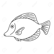 Alice in wonderland coloring pages 4d8r. The Fish Of The Sea Or River Coloring Pages For Adults Or Children Black And White Image Doodle Coloring Book Vector Illustration Royalty Free Cliparts Vectors And Stock Illustration Image 145060516