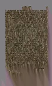 Image result for Centemopsis longipedunculata