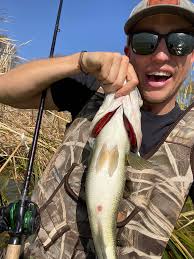 Second day of cutting hay fun