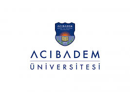 Jun 09, 2021 · oxford üniversitesi'ni oluşturan kolejlerden biri olan magdalen koleji'nden bir grup öğrenci, ortak salonlarından kraliçe 2. Acibadem Mehmet Ali Aydinlar Universitesi Arastirma Projeleri Ofisi