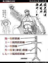 腹上死は人生の夢でした - 医学語呂なう | 医療美術部