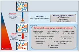 Ijms Free Full Text Prevention Is The Best Treatment The Case For Understanding The Transition From Monoclonal Gammopathy Of Undetermined Significance To Myeloma Html