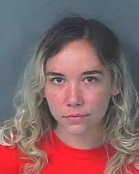 HCSO Arrests Public Records Results