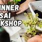 Beginner Bonsai Workshops