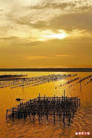 雲林口湖跟著小農到產地旅行 蘋果日報 things to do outdoor sunset