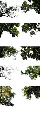 2d Plants Branch 2 In Psd Format Idees Photoshop Photoshop La Visualisation De L Architecture