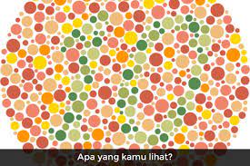 Tes buta warna merupakan sebuah tes yang dirancang untuk mengetahui kelainan genetik pada indra penglihatan. Bisakah Kamu Menyelesaikan Tes Buta Warna Ini