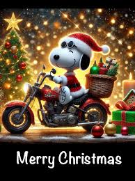 Schöne Weihnachten! 🎄