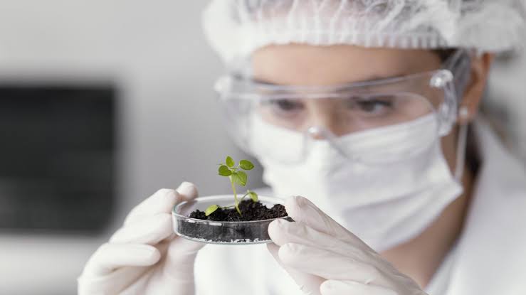 Maestría en Bioquímica