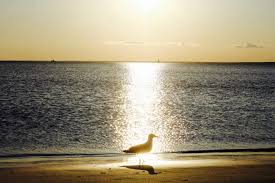 Just 70 miles from boston, sea crest beach hotel is perfect for a wedding, reunion, corporate event, or just that perfect cape cod vacation, sea crest beach hotel on old sliver beach will make your time on cape cod memorable. Old Silver Beach Sunset Cape Cod Wave