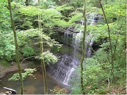 On this site is a beautiful 75 foot. Stillhouse Hollow Falls