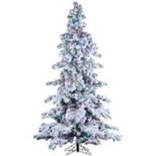 The furthest corner of that garden contains a large lavender plant. Wenner Do It Best Hardware Rental