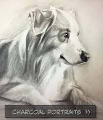 Check spelling or type a new query. Adelaide Petportrait Artist Pet Paintings Dogs Dog Cat Horse And Animal Portraits Art Paintings Adelaide