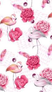 Pin By Rommeldys On Cicek Flamingo Wallpaper Pink Wallpaper Iphone Wallpaper