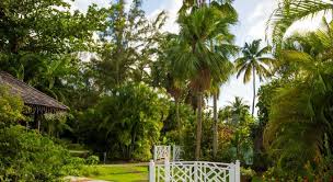Enjoy strolling through green pastures, lounging by the fresh waters with a refreshing. East Winds St Lucia All Inclusive Gros Islet Agoda Com