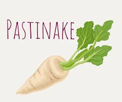 Pastinake für Hunde - Kochen für Hunde