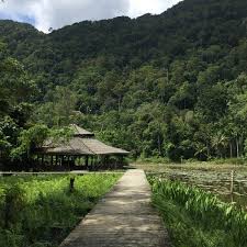 Thale ban national park (thai: Photos At à¸­ à¸—à¸¢à¸²à¸™à¹à¸« à¸‡à¸Šà¸²à¸• à¸—à¸°à¹€à¸¥à¸š à¸™ Thale Ban National Park 3 Tips