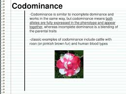 We did not find results for: Incomplete Dominance While Much Of Genetics Deals With Dominant And Recessive Traits Where The Offspring Will Resemble One Of The Parents Sometimes There Ppt Download