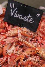 Langoustines Bretagne Repinned By Www Mygrowingtraditions Com Pourquoi Ca Existe Des Langoustines Mortes En Produits Bretons Bretagne Langoustines
