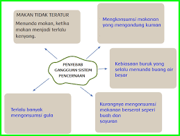 Kementerian pendidikan dan kebudayaan, 2017. Kunci Jawaban Ips Kelas 8 Kurikulum 2013 Halaman 74 Revisi Sekolah