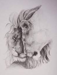 Bt how to draw & ma animals learn to draw with colored pencil step by step layering and blending = focusing on features building form « working on toned paper by debra kauffman yaun inne chia 20, 200,01 wer oer ig gi sn ee a 00 a a sia ftc! How To Draw Animals 60 Easy Pencil Drawings Of Animals
