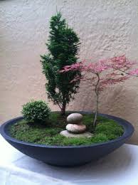 Muddy Boots Garden Design Container Gardening Bonsai For Busy People Container Gardening Japon Bahceleri Minyatur Bahceler Etli Yaprakli Bitki Bahcesi