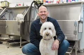 Goldendoodle puppies for sale in palm beach gardens the goldendoodle is intelligent, friendly, and family oriented. Scenthound Dog Groomer Offers Preventive Care For Pooches