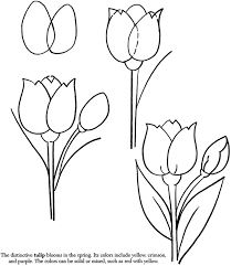 How To Draw A Tulip Spring Quick Draw Mouton Dessin Dessin Fleur Comment Dessiner