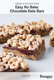 Easy No Bake Chocolate Date Bars Forager Project Recipe Desserts Baking Recipes Dessert Recipes