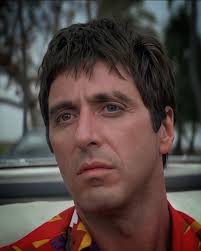 Just a few first impressions of 'Scarface' upon its initial release…  “Scarface has a few brilliant scenes, but it's dismayingly empty … a sadly  overblown B movie.” ——— David Denby “pointless bloodbath”